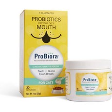 ProBiora Health 고양이 파우더 고양이용 프로피오라 구강 관리 프로바이오틱스 보충제 구취를 줄이는 반려동물 치과 건강을 위한 영양 30인분Jar30인분1팩 Jar Q, Jar, 30 Servings, 1개
