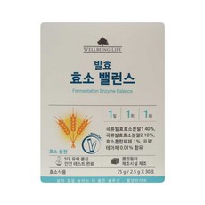 코리아나 웰빙 라이프 발효 효소 밸런스75g(2.5gx30포), 2.5g, 1개