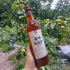 돌배효소
