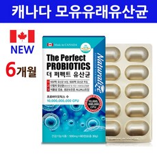 //상품명
