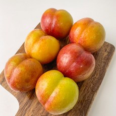 후무사자두-추천-상품