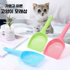 닥터스쿱