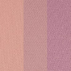 라네즈쿠션블러셔