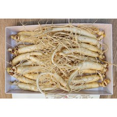 풍기인삼 6년근 750g 세척수삼 선물용 가정용 꿀절임 종이상자 고급보자기포장 되도록 굵은걸로 보냅니다 굵으면 갯수는 줄어듭니다, 6년근 난발 수삼 (특가)21~35뿌리750g, 1개