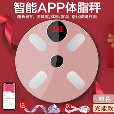 해외 스마트 체지방저울 전자계량 체중충전 가정용 다이어트 블루투스 전문 앱-58390, 단일옵션, 옵션13