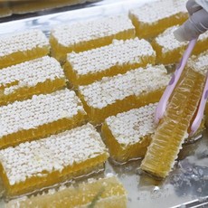 사고파 벌집꿀 요거트아이스크림 토핑용 벌집꿀 밀랍꿀 1kg [원산지 : 중국산], 500g