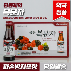 복분자 TOP01