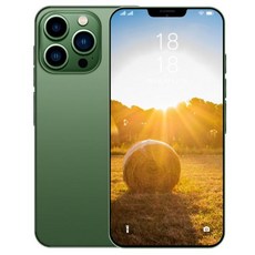 아이폰13promax1tb