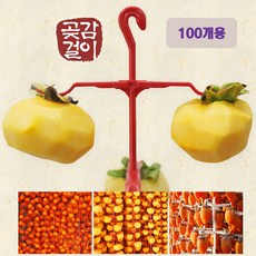 곶감단지.원데이