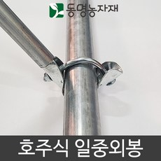 호주식쌍봉