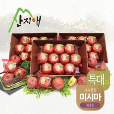 [산지애] 특대 사과 9kg (3kgx3박스 24~30과)/ 미시마 청송사과 세척사과, 단품