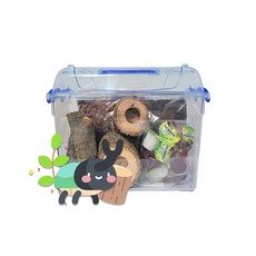 장수풍뎅이 사육세트 장수풍뎅이 한쌍포함, 2번 산란용 사육세트(장수풍뎅이 한쌍포함)