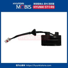 아웃사이드 핸들록 트렁크 리드 (812602V010)