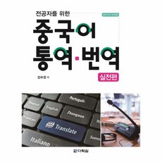 중국어통역번역실전편