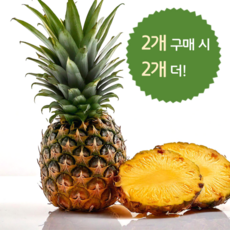필리핀 고당도 파인애플 과즙팡팡 후숙 열대과일, 1박스, 1.2kg내외(1개)