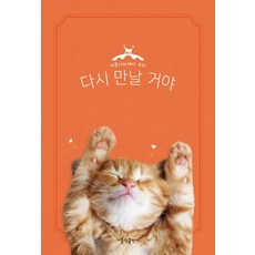 하늘만큼먼나라희곡