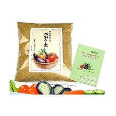 누카 기온 반야 누카즈케 누카도코 500g