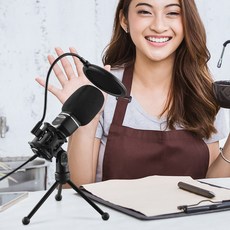 엑토 브로드캐스트 USB 콘덴서 스탠드 마이크 MIC-15, 단품