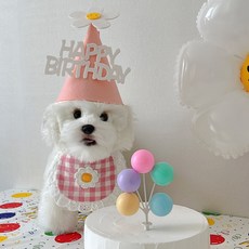 하피블리 데이지 풍선 테슬 가랜드 꼬깔 모자 생일 파티 용품 세트, 생일가랜드(핑크)