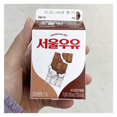 캔디사은품 + 서울우유 초콜릿, 200ml, 5개, 5개