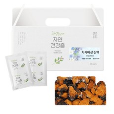 차가버섯 차 즙 건강즙 진액 엑기스 액기스 100ml 30개입, 1개