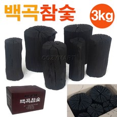 1인참숯매트