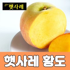 복숭아홈쇼핑