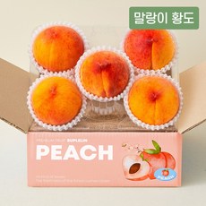 [수플린] 부드럽고 달콤한 고당도 노지 황도 복숭아 1.5kg/3kg, 1.5kg (4~6입), 2개 - 수노기