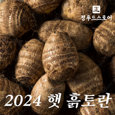 정푸드 국내산 흙토란 곡성 토란 알토란, 10kg 토란 소(작은 토란), 1개