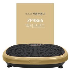 제스파 진동운동기 덜덜이 쉐이크보드 헬스장 효과 털털이 액티브보드 집에서할수있는운동 의료기상사 매장 운영중