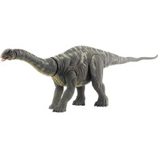 마텔브라키오