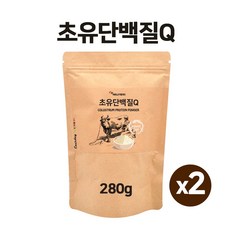 초유프로틴 분말 초유단백질 젖소초유 완두콩 유청단백질 류신 파우더 보충제 대두 우유 mbp 유단백 엠비피 가루 식물성 동물성 밸런스 균형단백질 파이토프로틴 쉐이크 성인분유 여성 남성 온가족 근력 근손실 방지 뼈건강 프로틴파우더, 2개, 280g