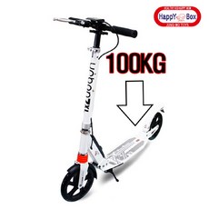 대호토이즈오토바이