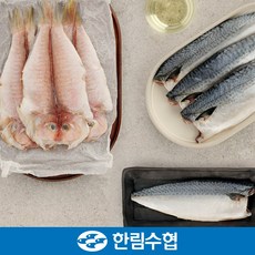 제주 한림수협 옥돔&고등어 혼합 선물세트 3호 / 옥돔 180g*3팩+고등어 120g*10팩+부직포가방 포장, 1개