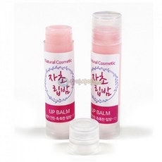 초등립밤