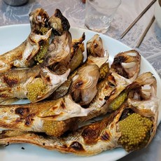 동해항블라디보스톡