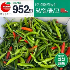 해돋이농산 국내산 청양고추 매운고추 못난이고추 1kg 2kg 3kg 5kg 10kg(반홍), 1개