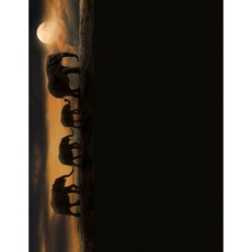영어책 Elephant March - 대형 대학-수강 노트: 8.5"x11" - 120페이지 - 코끼리 아프리카 사파리 자연, 단일옵션