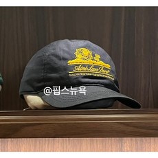 에임레온도르모자 TOP01