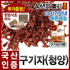 청양구기자농협