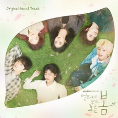 멀리서보면푸른봄
