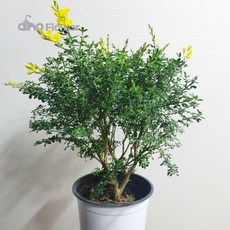 529d07885c6f7cfdf4a3899bd7547162d1546548b4be58d16b83ae4e4e6a.jpg