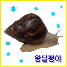 //상품명