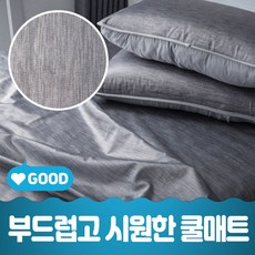 코스트코아이스방석