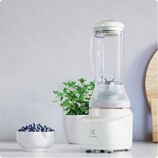 일렉트로룩스블렌더