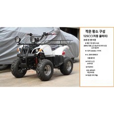 ATV 4륜 오프로드 125cc 4WD 무단 자동 변속기 산악 사발이 비포장 사륜 오토바이, 125cc 리틀불 ATV 구성1