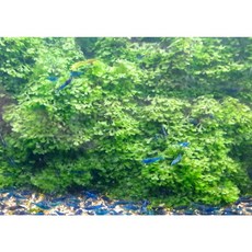 블루비사이니지