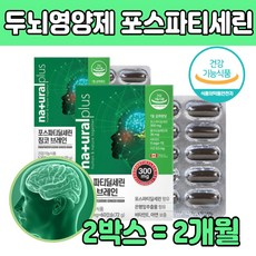 포스파 티 딜 세린 300mg 대두 레시틴 인지질 아연 마늘추출분말 아르기닌 홍삼 은행잎 징코 브레인 뇌 포스 타 새린 먹는 비타민 캐나다 건강 기능식품 기억력 인지력 개선 2박스, 2개, 60정