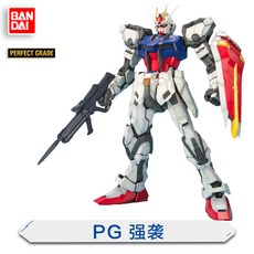 스팟 반다이 PG SEED 1/60 Strike Gundam은 건담 조립 모델, PG 강습