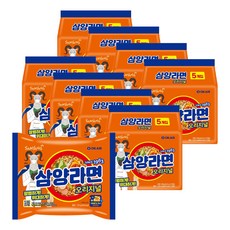 삼양 삼양라면 120g 1박스 40개입, 40개